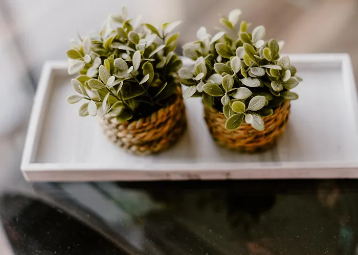 La88 Bayview Vendégház